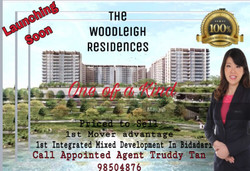 The Woodleigh Residences (D13), Apartment #191784022